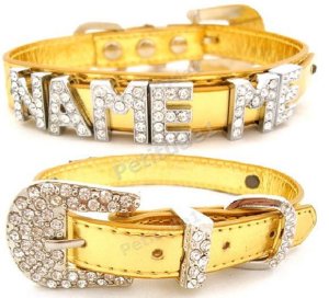 petdoggoldpersonalisecollar-comb-1.jpg